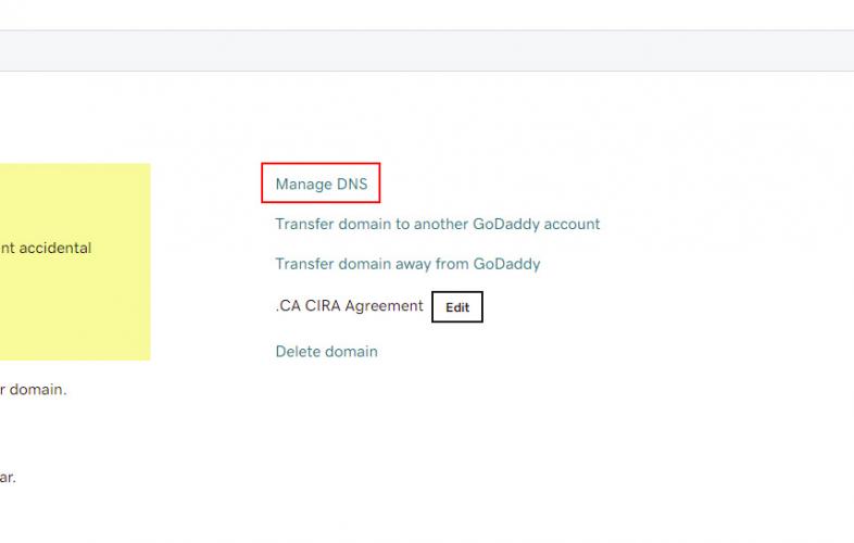 288-03-manage-dns.jpg